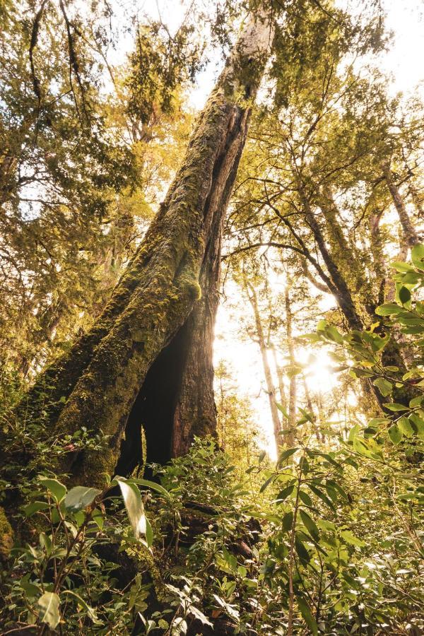 Peuma Lodge Patagonia Futaleufú エクステリア 写真