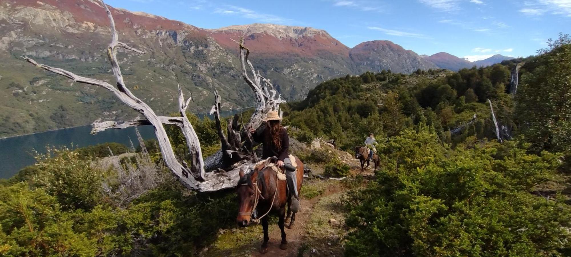 Peuma Lodge Patagonia Futaleufú エクステリア 写真